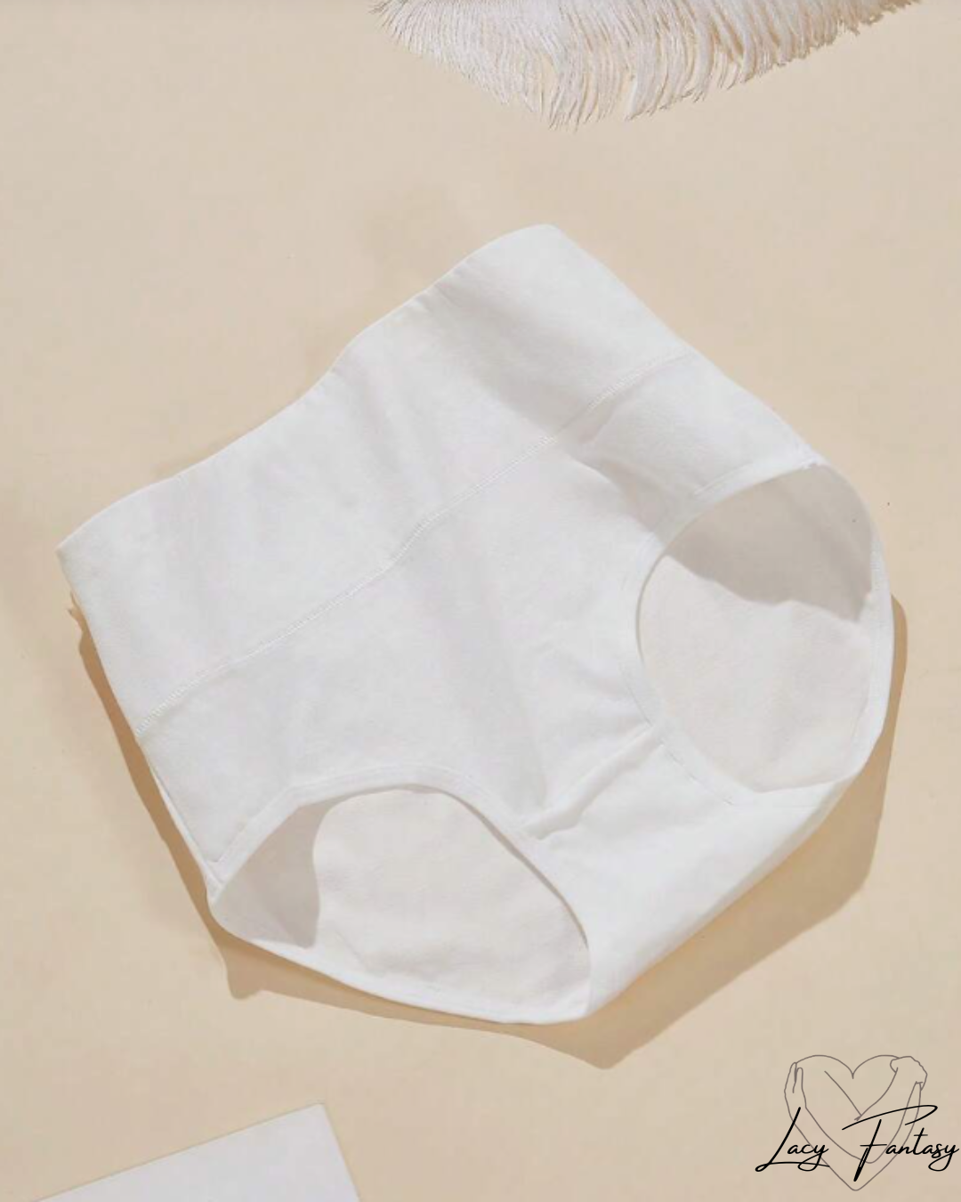 High waist Tummy Tucker Panty