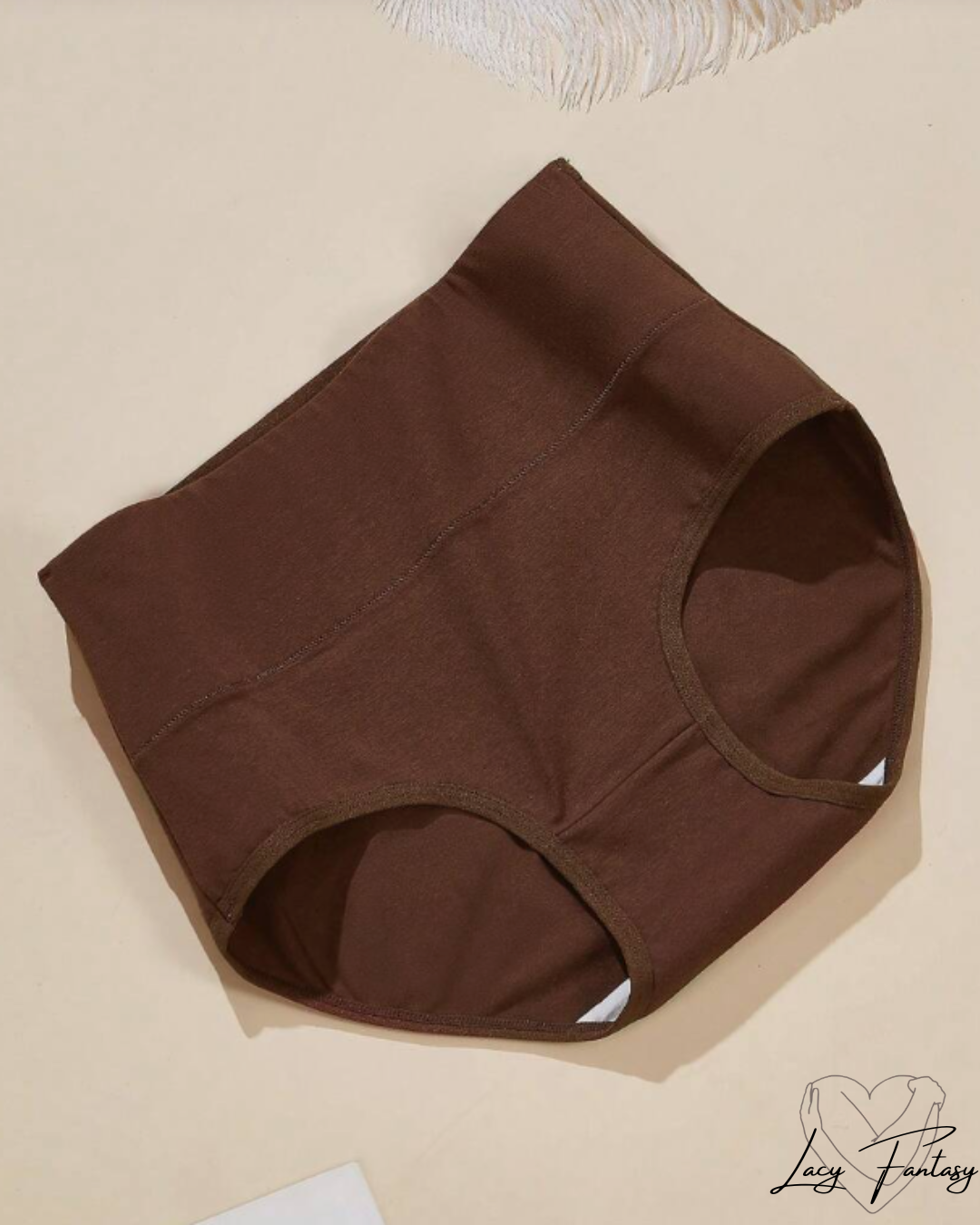 High waist Tummy Tucker Panty