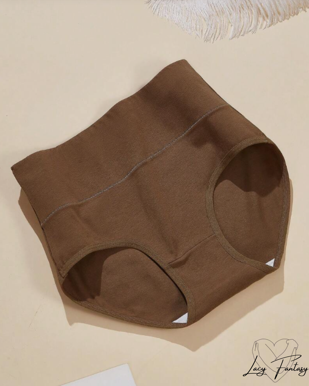 High waist Tummy Tucker Panty